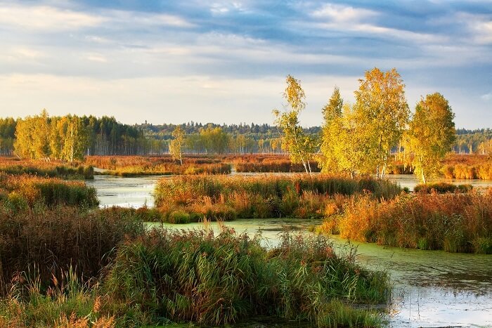 Losiny Ostrov National Park Moscow