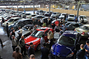 government car auctions